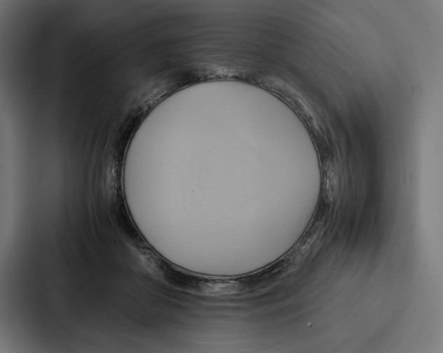 X0000086790410200705111819