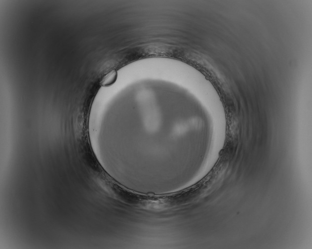 X0000086790411200705111819