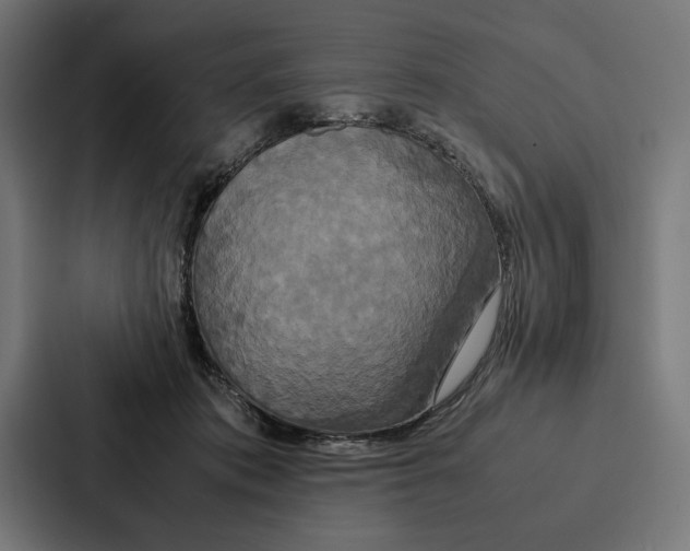 X0000086790413200705111819