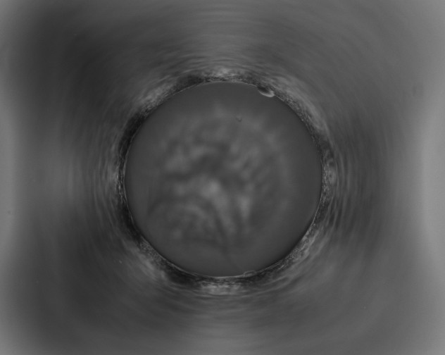 X0000086790415200705111819