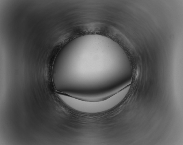 X0000086790416200705111819