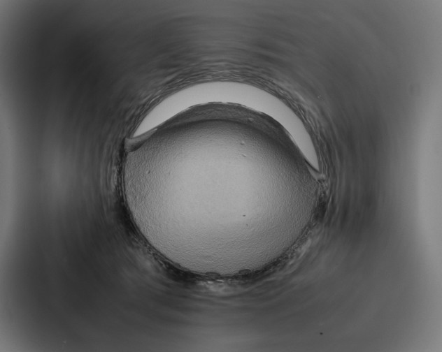 X0000086790417200705111819