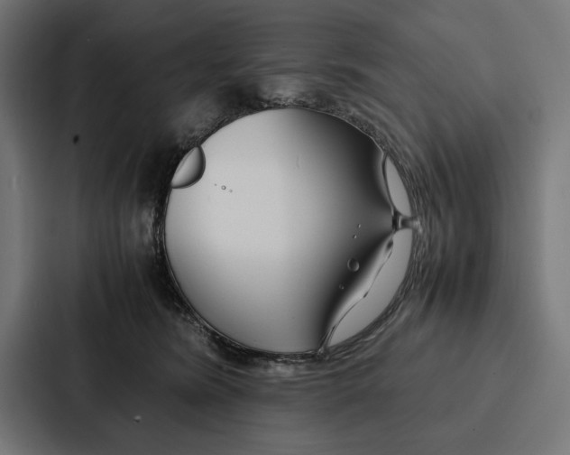 X0000086790420200705111819