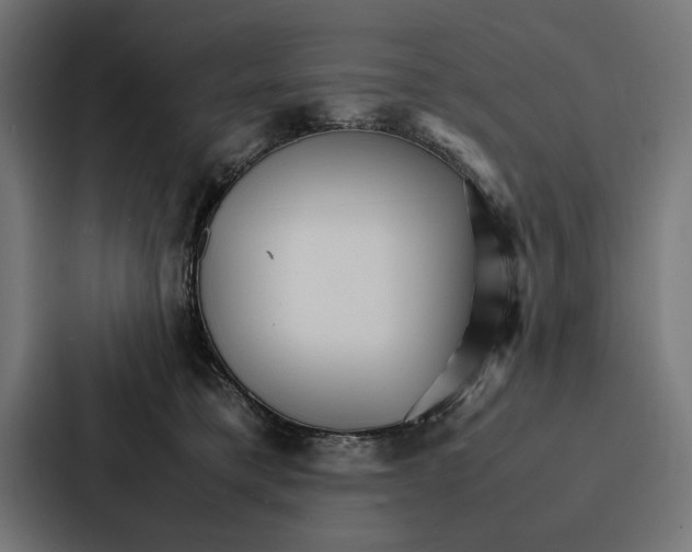 X0000086790421200705111819