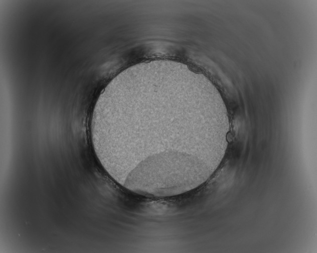 X0000086790423200705111819