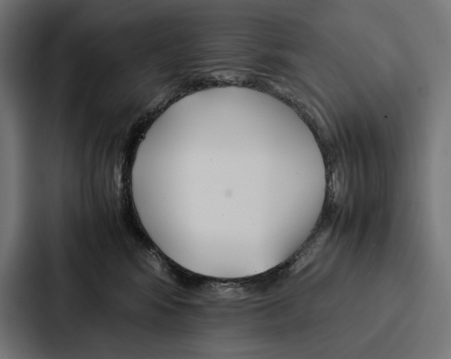 X0000086790424200705111819