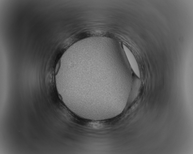 X0000086790425200705111819