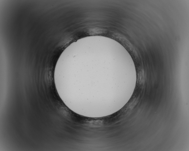 X0000086790426200705111819