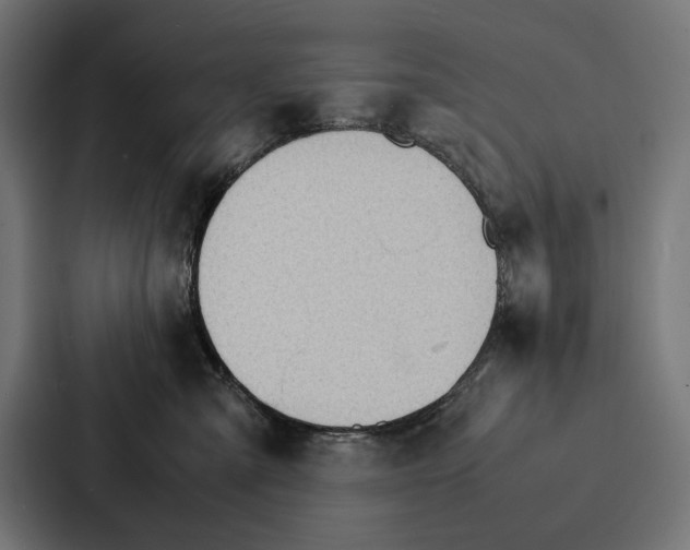 X0000086790427200705111819