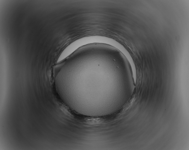 X0000086790428200705111819