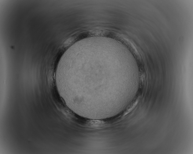 X0000086790429200705111819