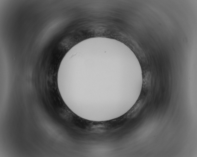 X0000086790430200705111819