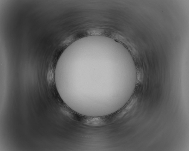 X0000086790431200705111819