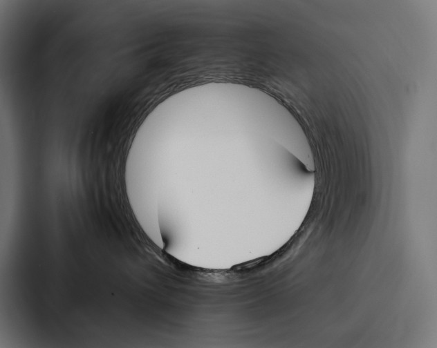 X0000086790432200705111819