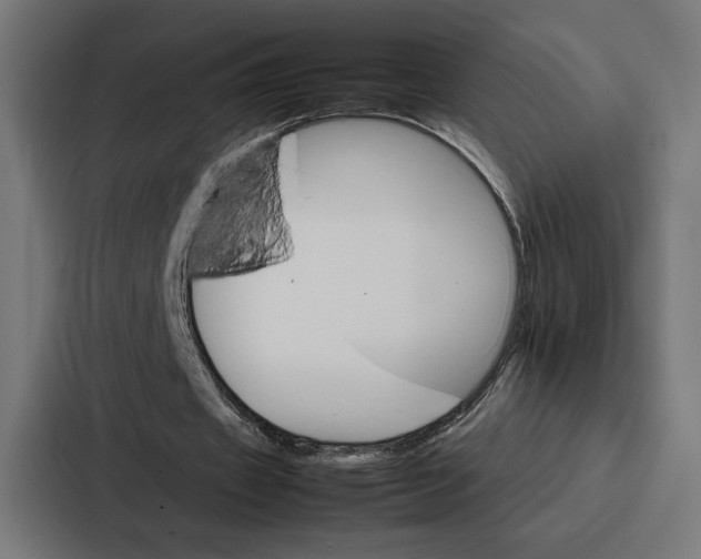 X0000086790433200705111818