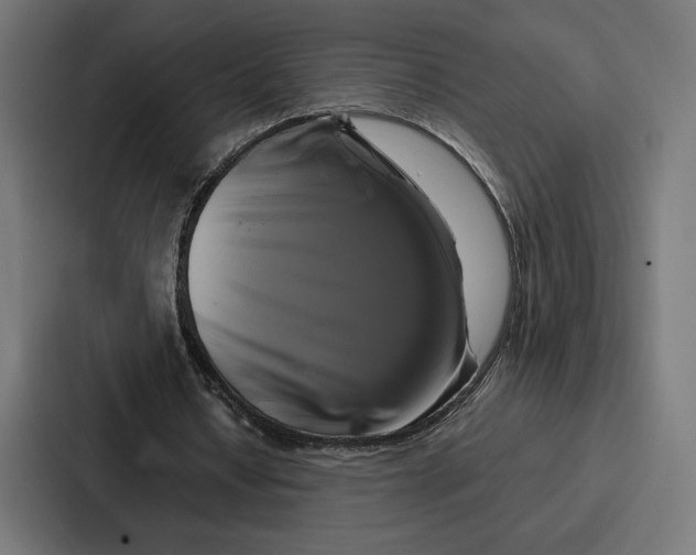 X0000086790434200705111818