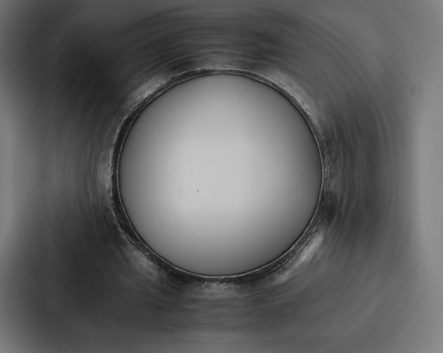 X0000086790437200705111818