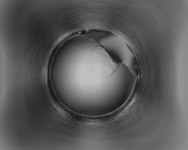 X0000086790438200705111818