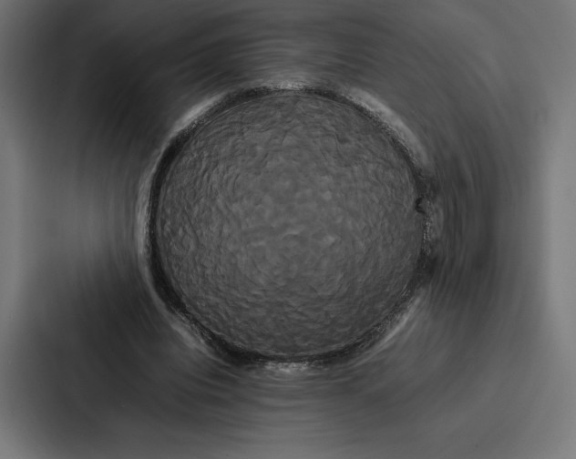 X0000086790440200705111818