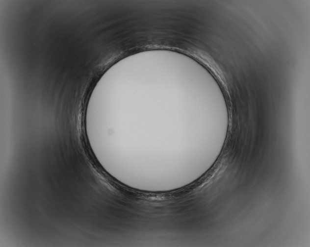 X0000086790441200705111818