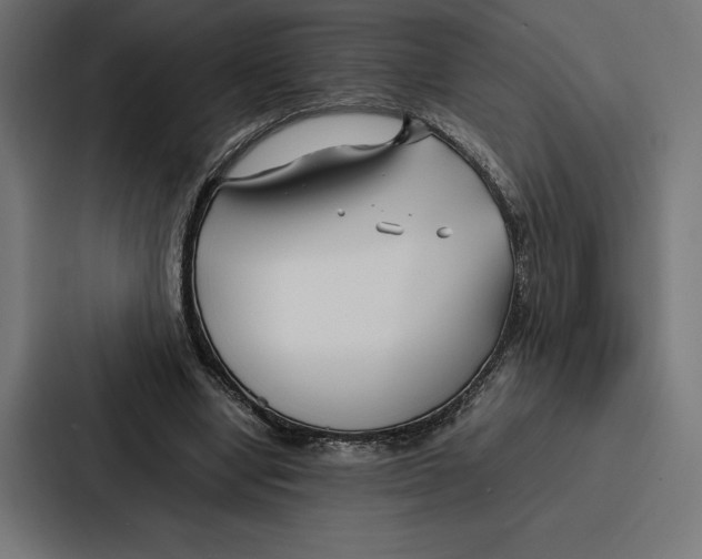 X0000086790442200705111818