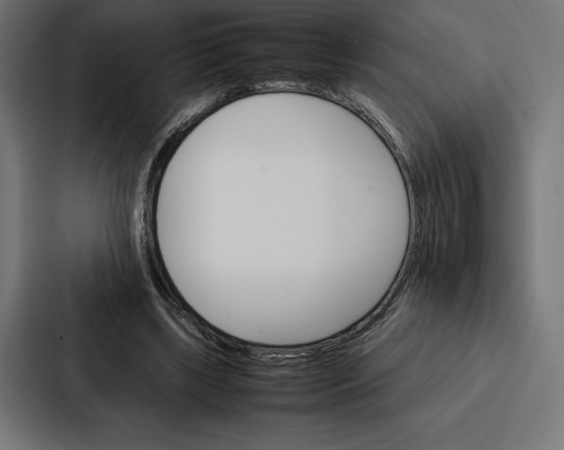 X0000086790443200705111818