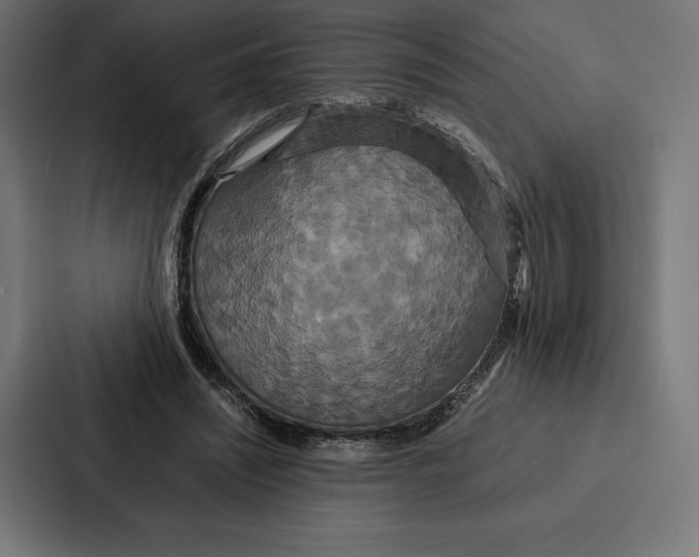 X0000086790444200705111818