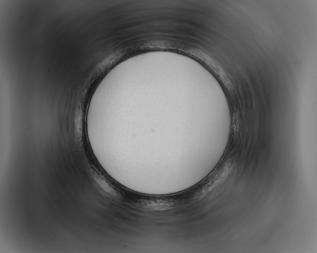 X0000086790445200705111818