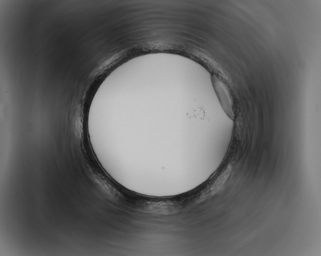 X0000086790446200705111818