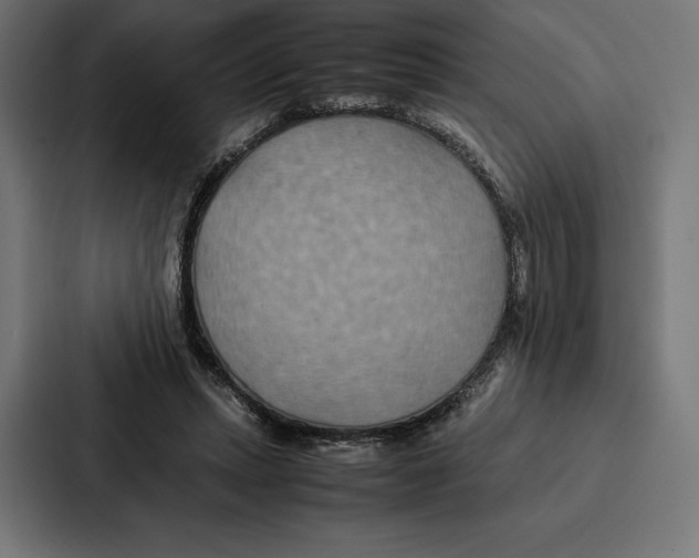 X0000086790447200705111818