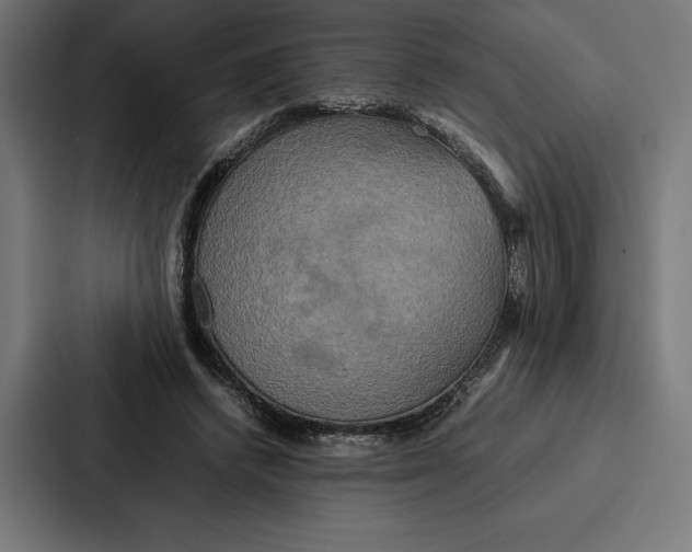 X0000086790448200705111818