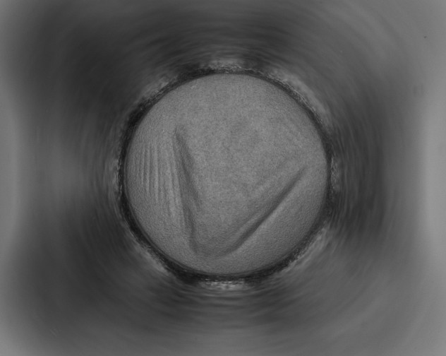 X0000086790449200705111818