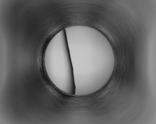 X0000086790450200705111818