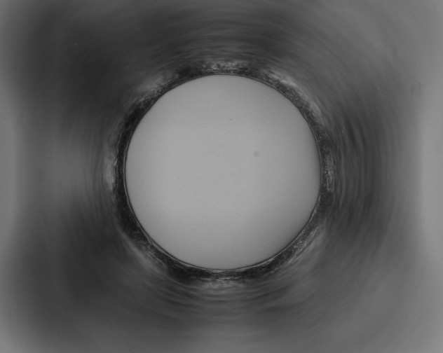 X0000086790451200705111818