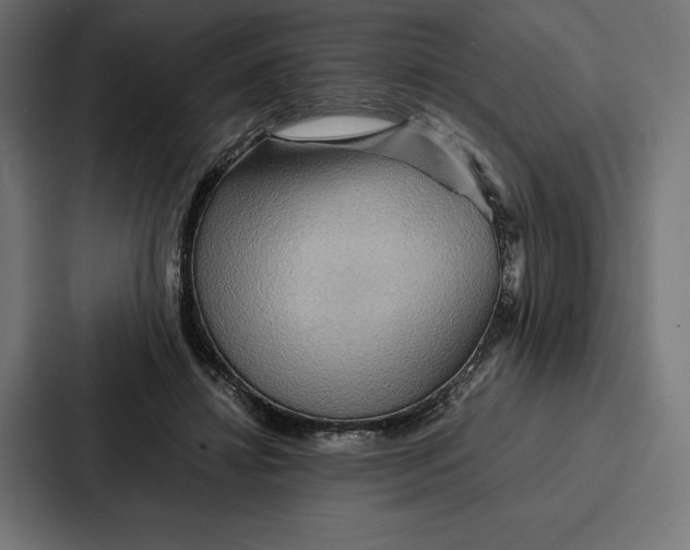 X0000086790452200705111818