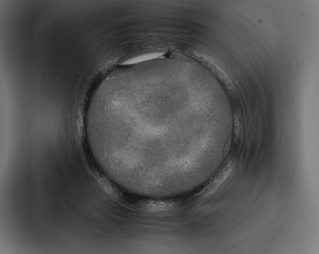 X0000086790453200705111818