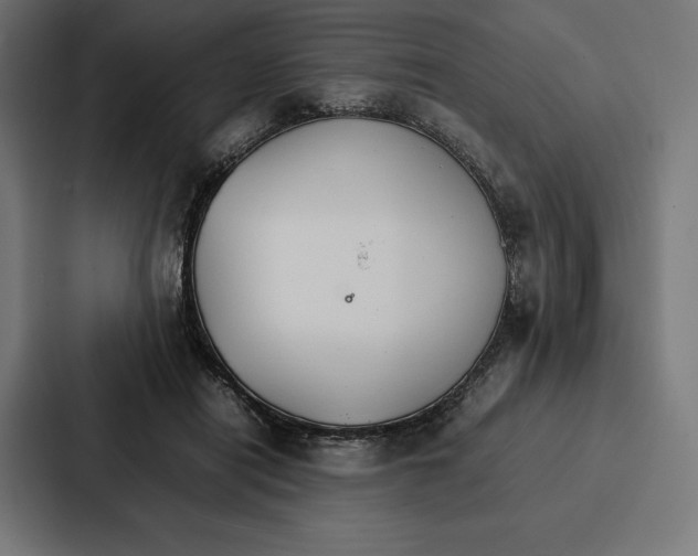 X0000086790454200705111818