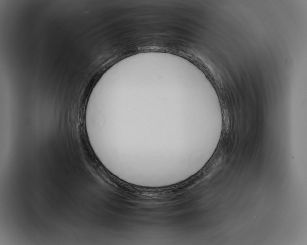 X0000086790455200705111818