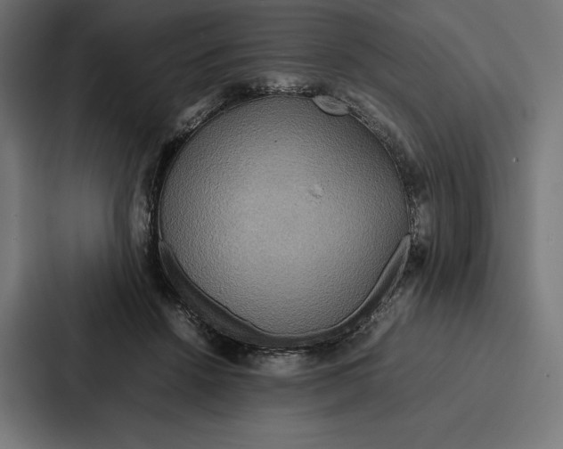 X0000086790456200705111818