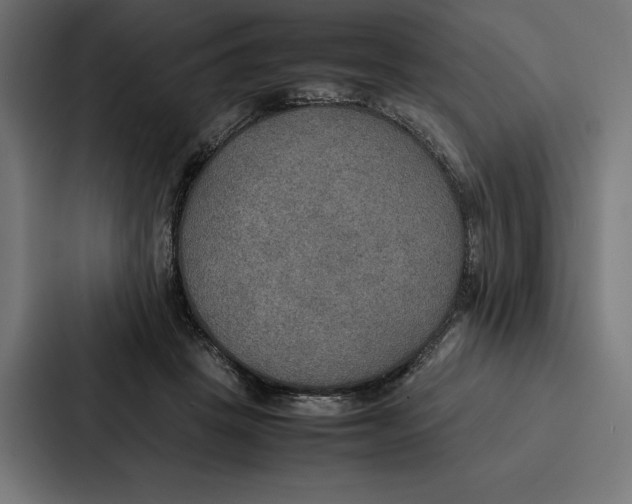 X0000086790457200705111818