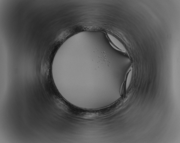 X0000086790458200705111819