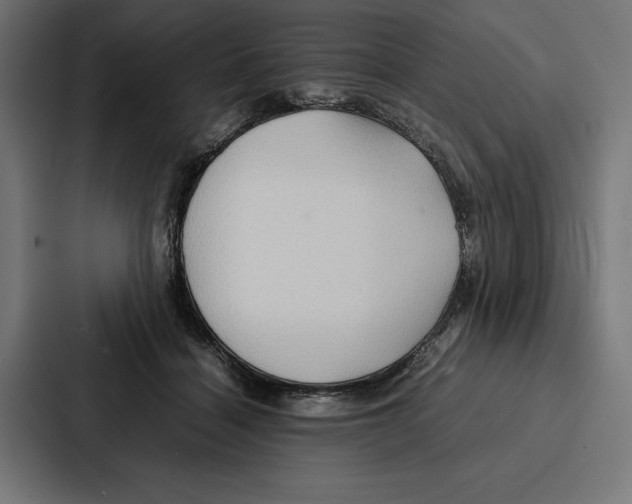 X0000086790460200705111819