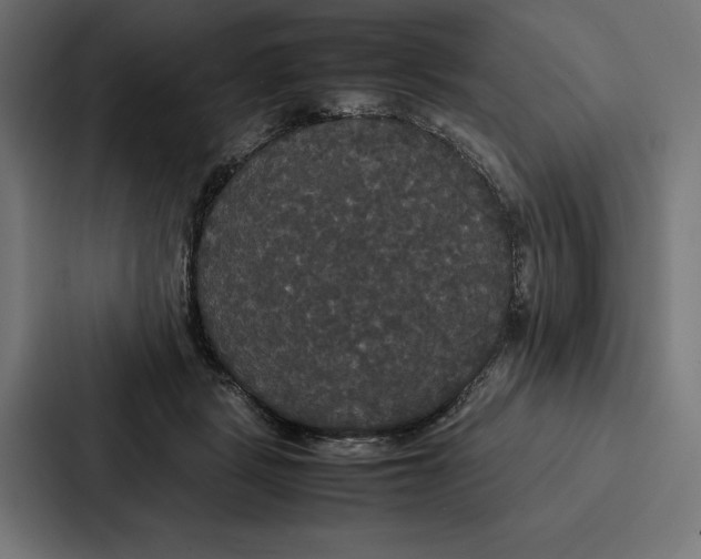 X0000086790461200705111819