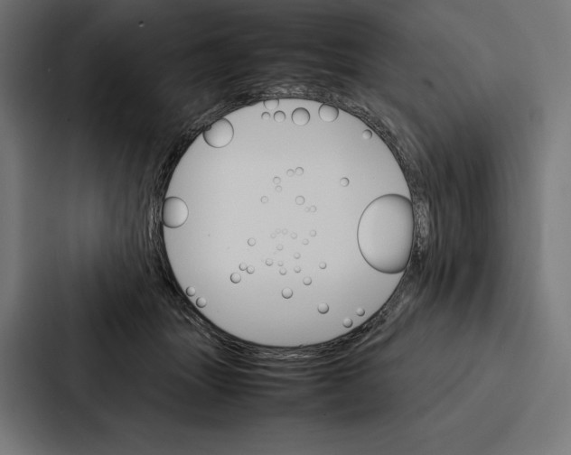 X0000086790463200705111819