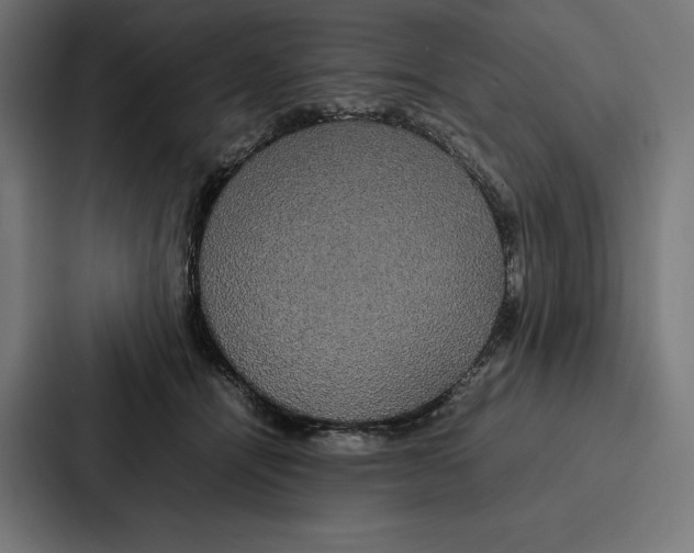 X0000086790464200705111819