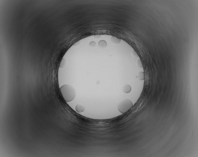 X0000086790467200705111819