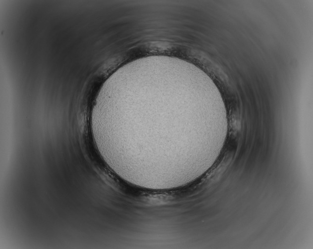 X0000086790468200705111819