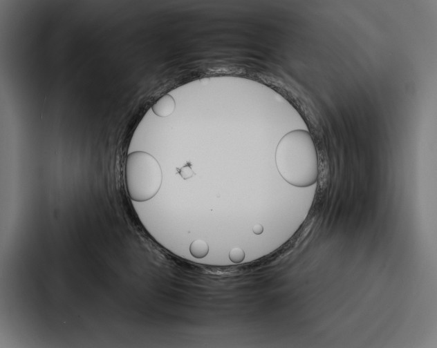 X0000086790469200705111819