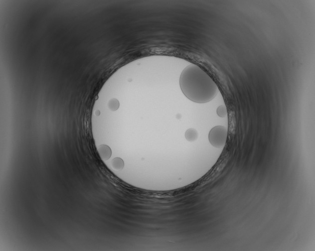 X0000086790471200705111819