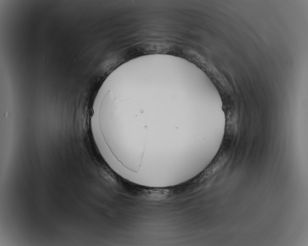 X0000086790474200705111819